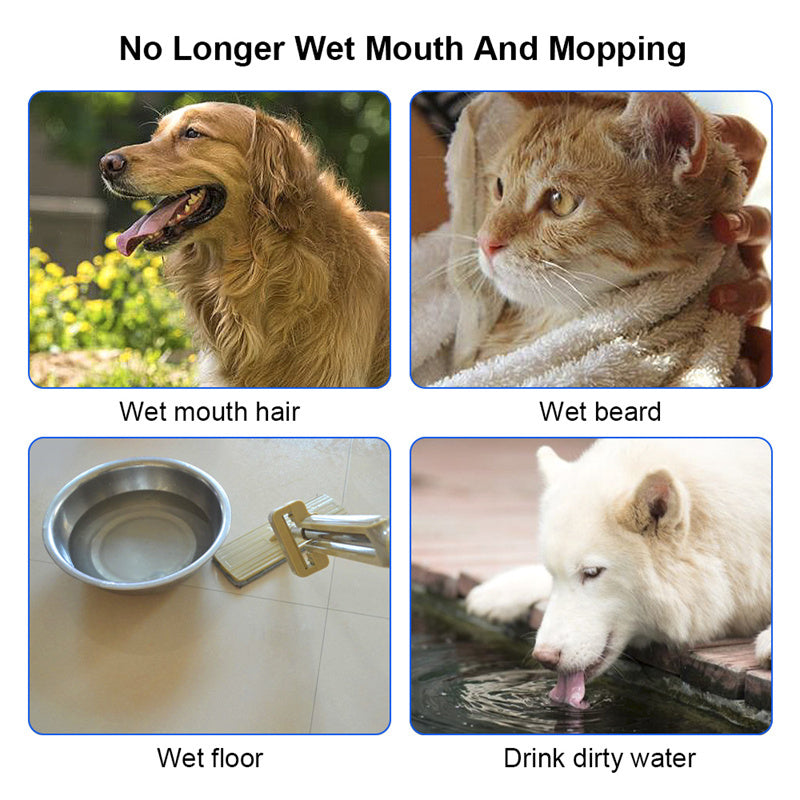 Anti-Spill Pet Water Bowl – Dog & Cat Fountain Slow Water Feeder ABS&PP - 95noo5