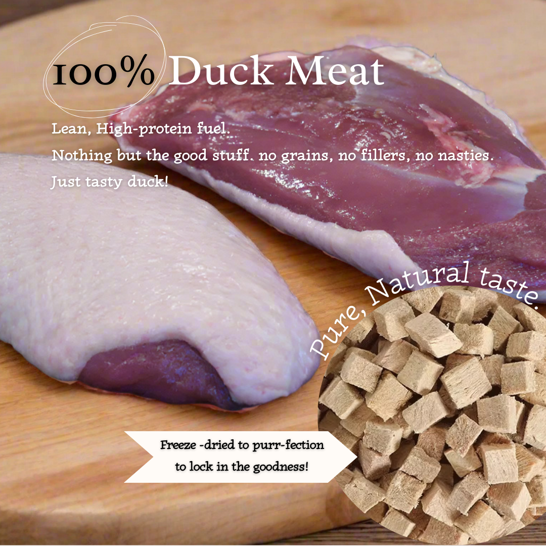 "Ducky Delights" 100% Freeze-Dried Duck Meat- 40g pouch - 95noo5