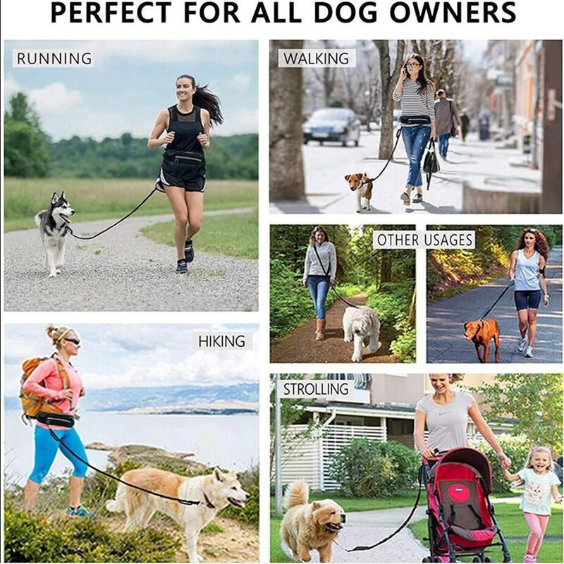 Pet Purse Leash For Dog Walking - 95noo5