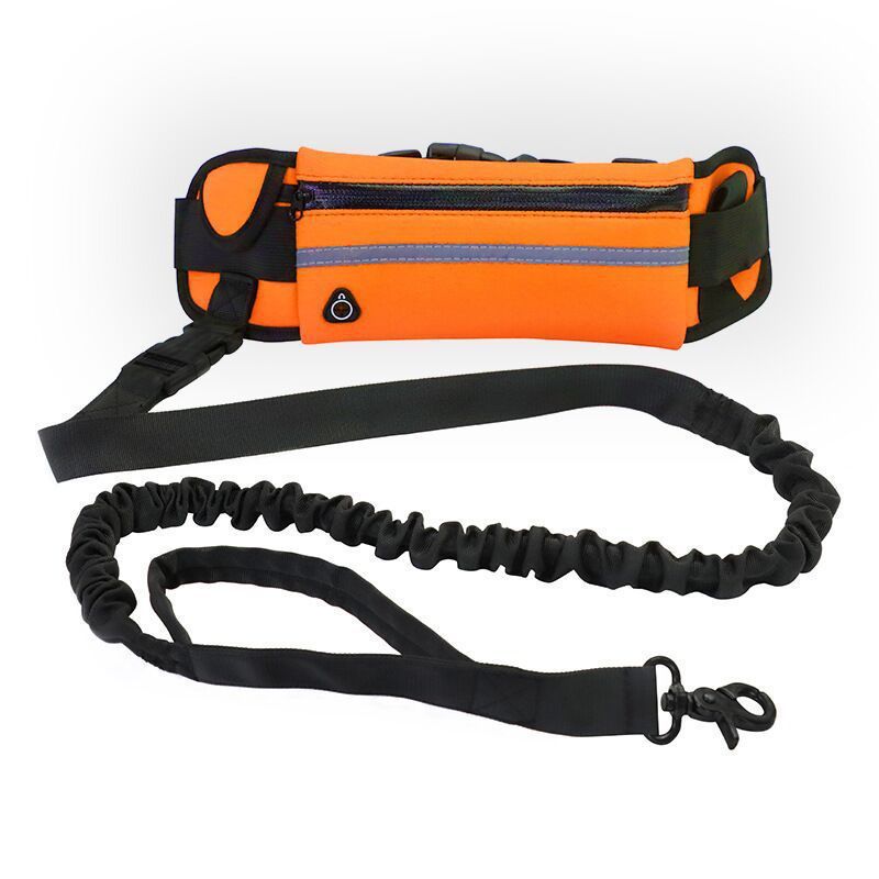 Pet Purse Leash For Dog Walking - 95noo5
