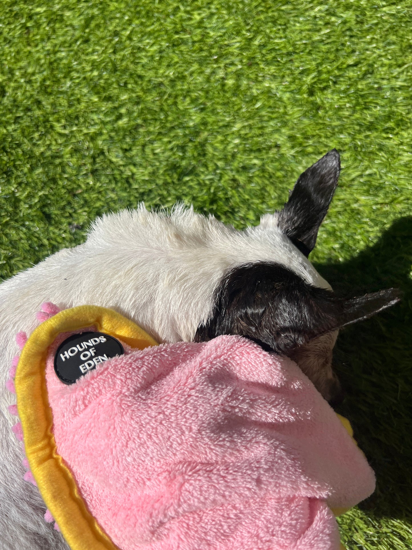 Mini Dog Towel + Clip, Dusty Pink & Green - 95noo5