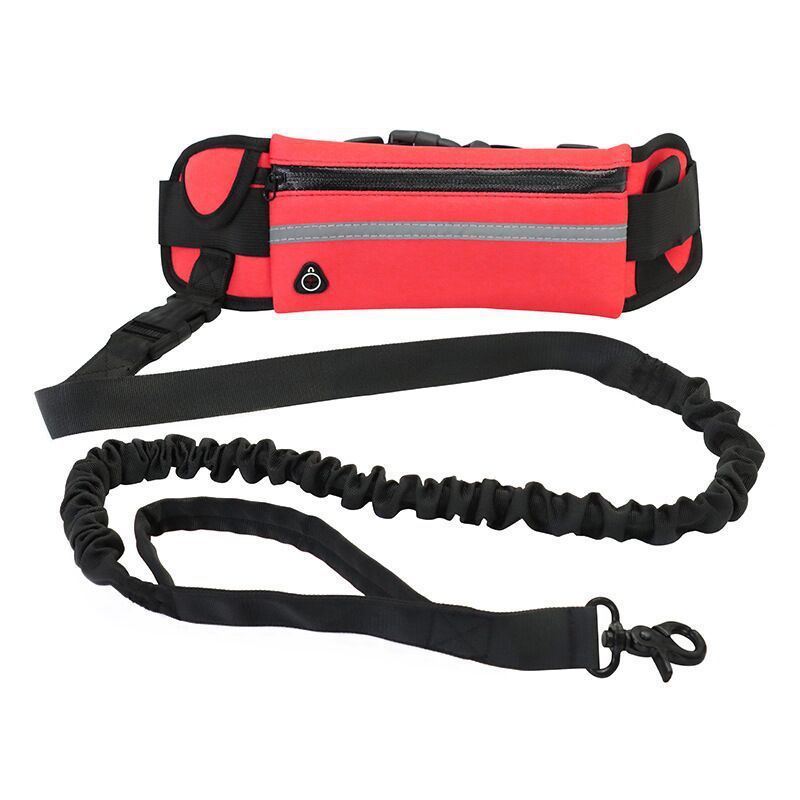 Pet Purse Leash For Dog Walking - 95noo5
