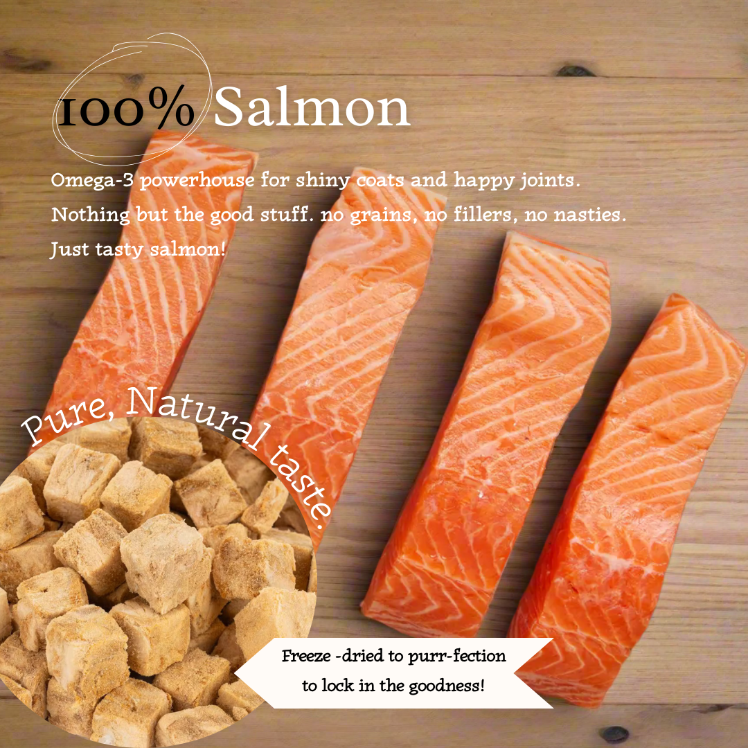 "Salmon Swoon" 100% Freeze-Dried Salmon- 40g Pouch - 95noo5