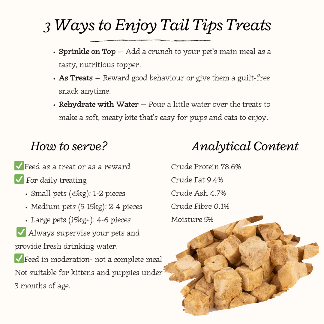 "Salmon Swoon" 100% Freeze-Dried Salmon- 40g Pouch - 95noo5