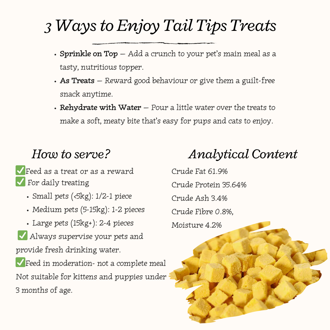 "Yolky Bites" 100% Freeze-Dried Egg Yolk- 40g Pouch - 95noo5