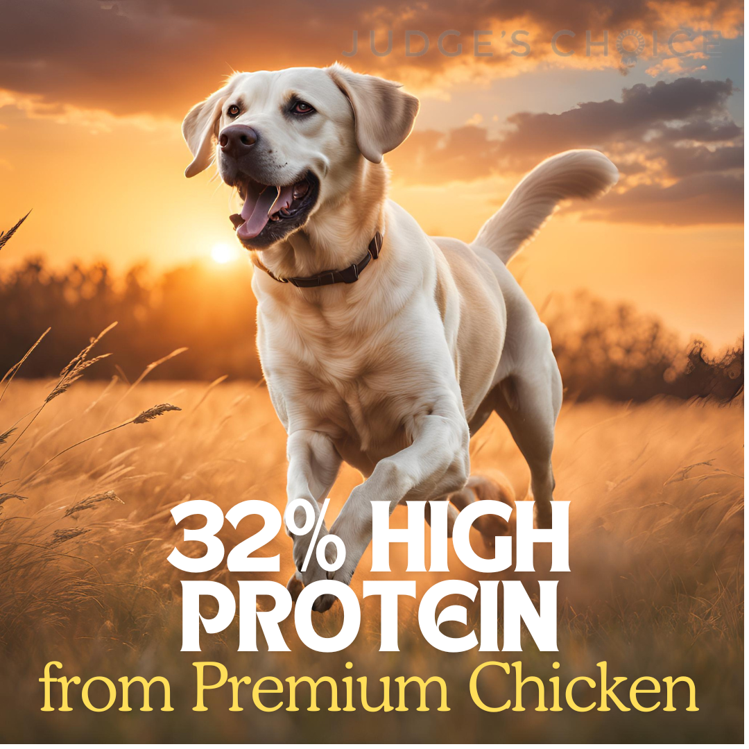 Country Pursuit Cold Pressed Chicken & Sweet Potato - 95noo5