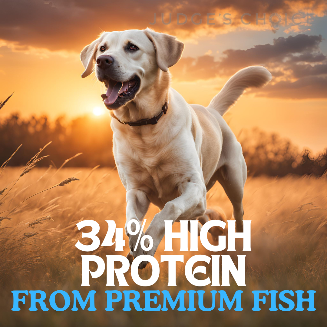 Country Pursuit Cold Pressed Ocean Fish & Sweet Potato - 95noo5