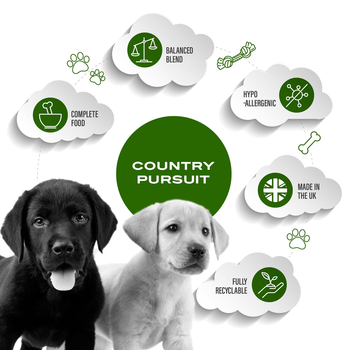 Premium Puppy Dry Dog Food - 95noo5