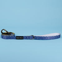 The Minnie Lead - 95noo5