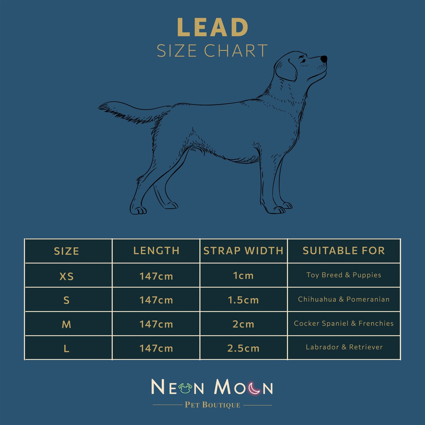 The Luna Lead - 95noo5