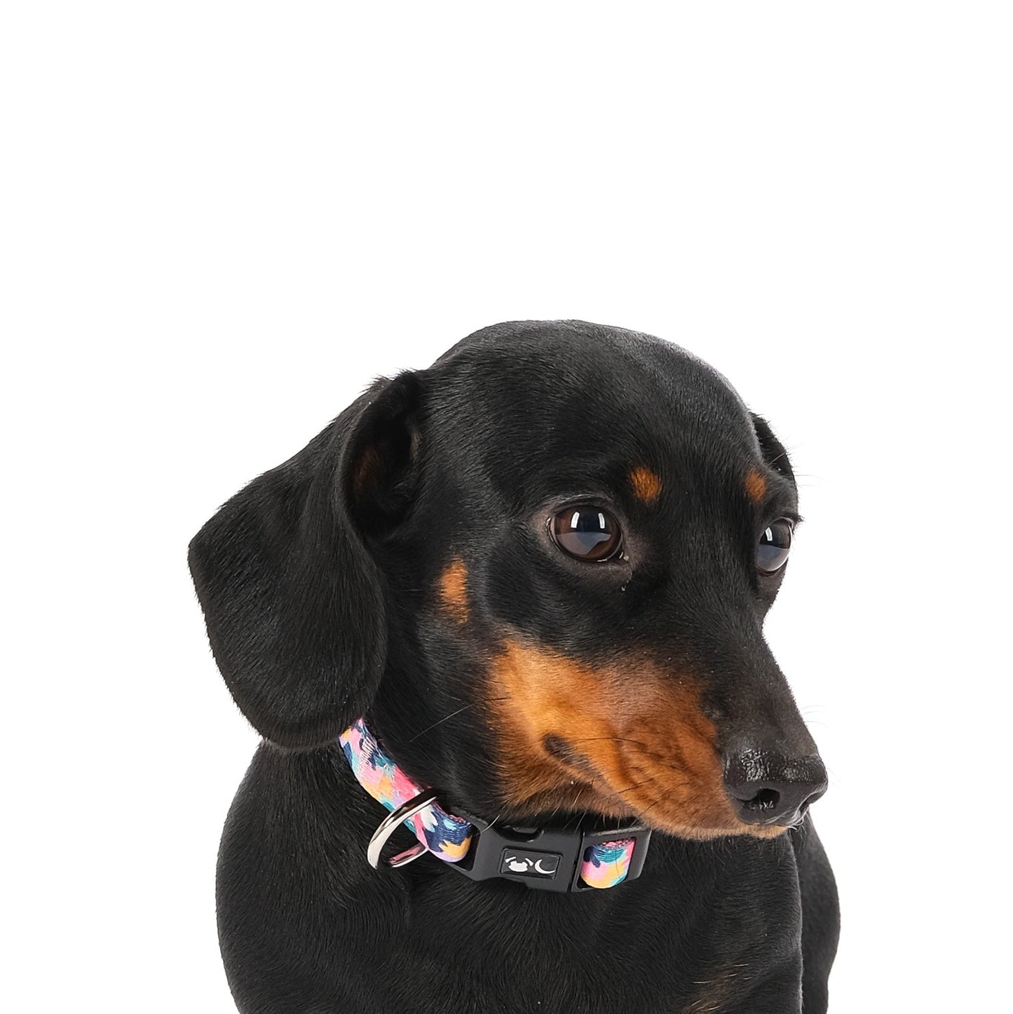 The Luna Dog Collar - 95noo5