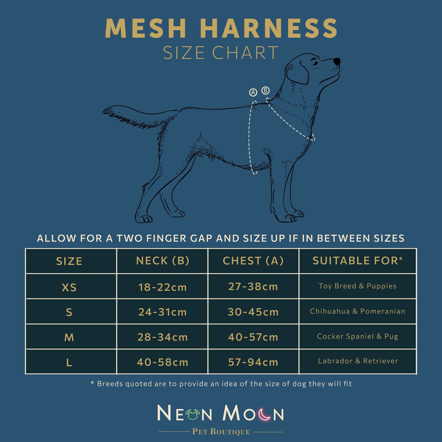 The Luna Mesh Harness - 95noo5