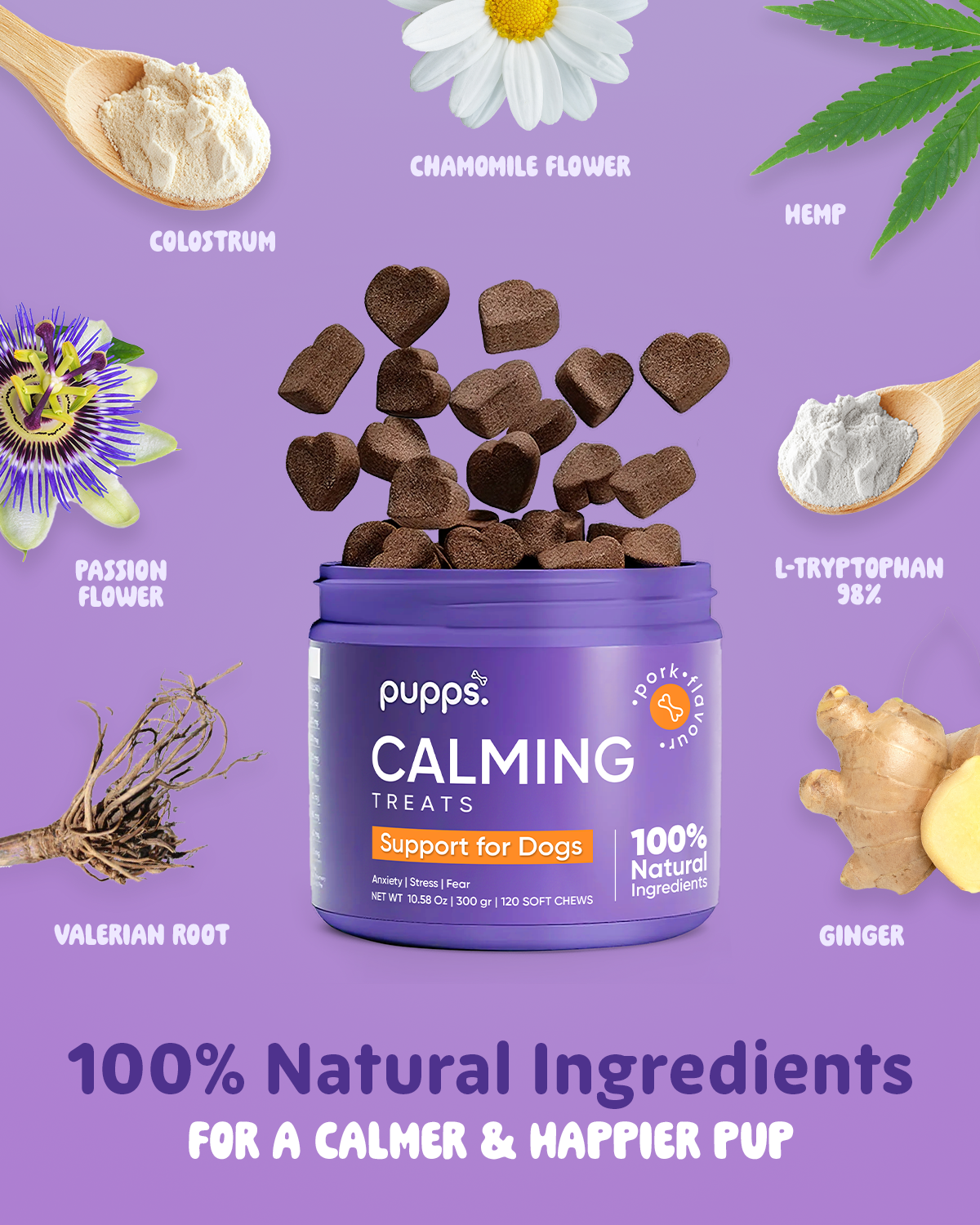 Calming Treats - 95noo5