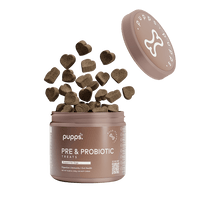 Pre & Probiotic Treats - 95noo5