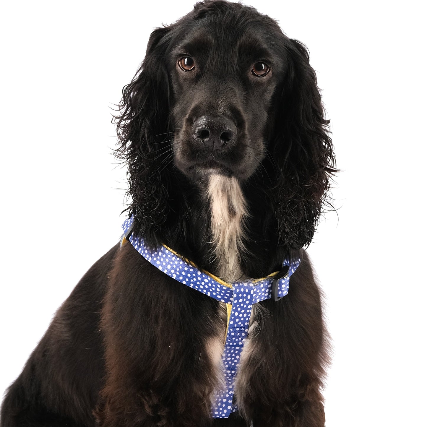 The Minnie Step-In Harness - 95noo5
