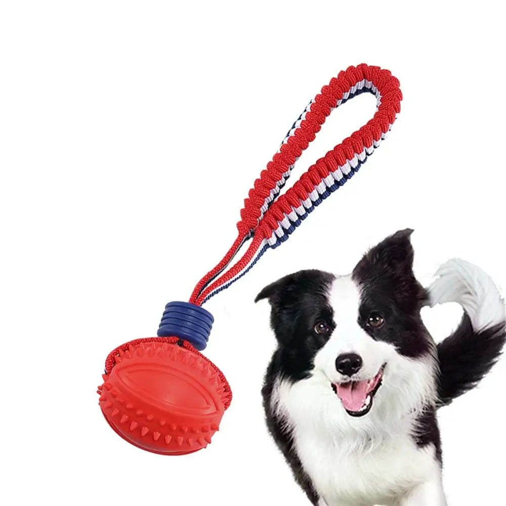 Interactive Dog Toy Ball Interactive Teether With Rope Dog Ball Pet Supplies Chewing Ball Training For Living Room Lake Beach Pets Products - 95noo5