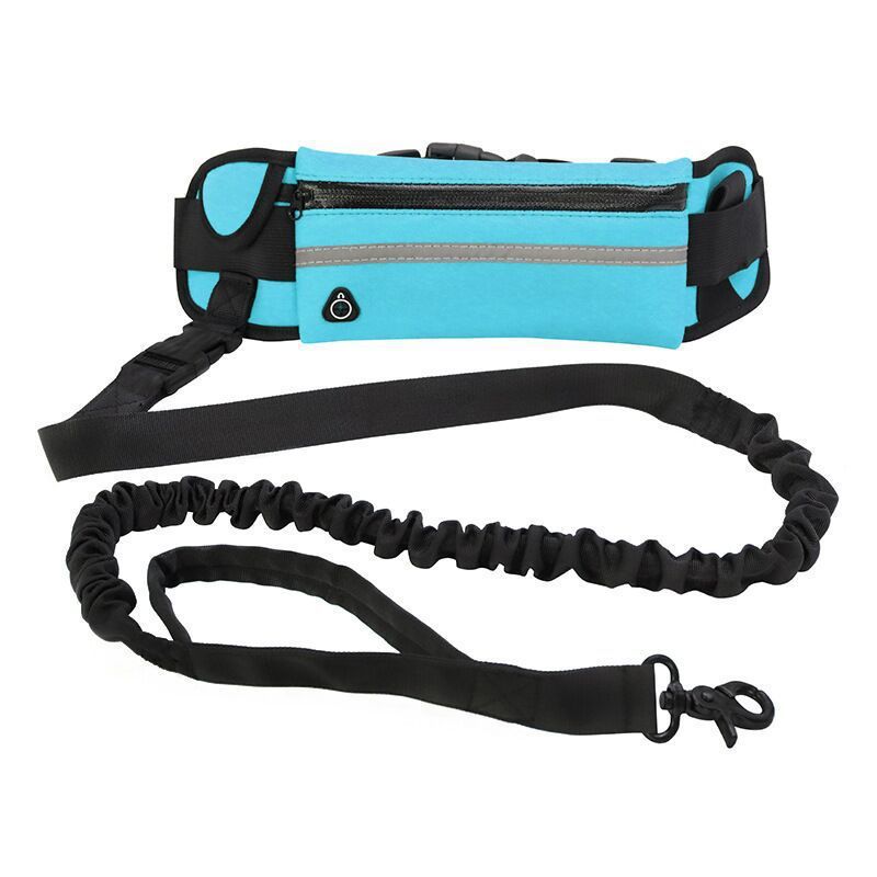 Pet Purse Leash For Dog Walking - 95noo5