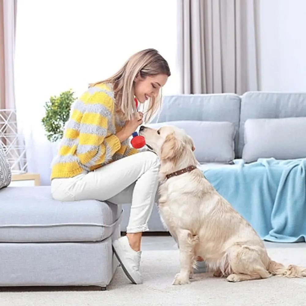 Interactive Dog Toy Ball Interactive Teether With Rope Dog Ball Pet Supplies Chewing Ball Training For Living Room Lake Beach Pets Products - 95noo5