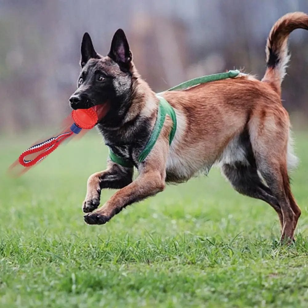 Interactive Dog Toy Ball Interactive Teether With Rope Dog Ball Pet Supplies Chewing Ball Training For Living Room Lake Beach Pets Products - 95noo5