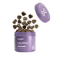 Calming Treats - 95noo5