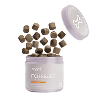 Itch Relief Treats - 95noo5