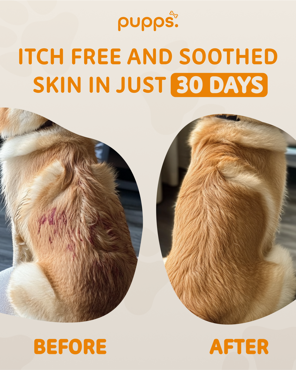 Itch Relief Treats - 95noo5