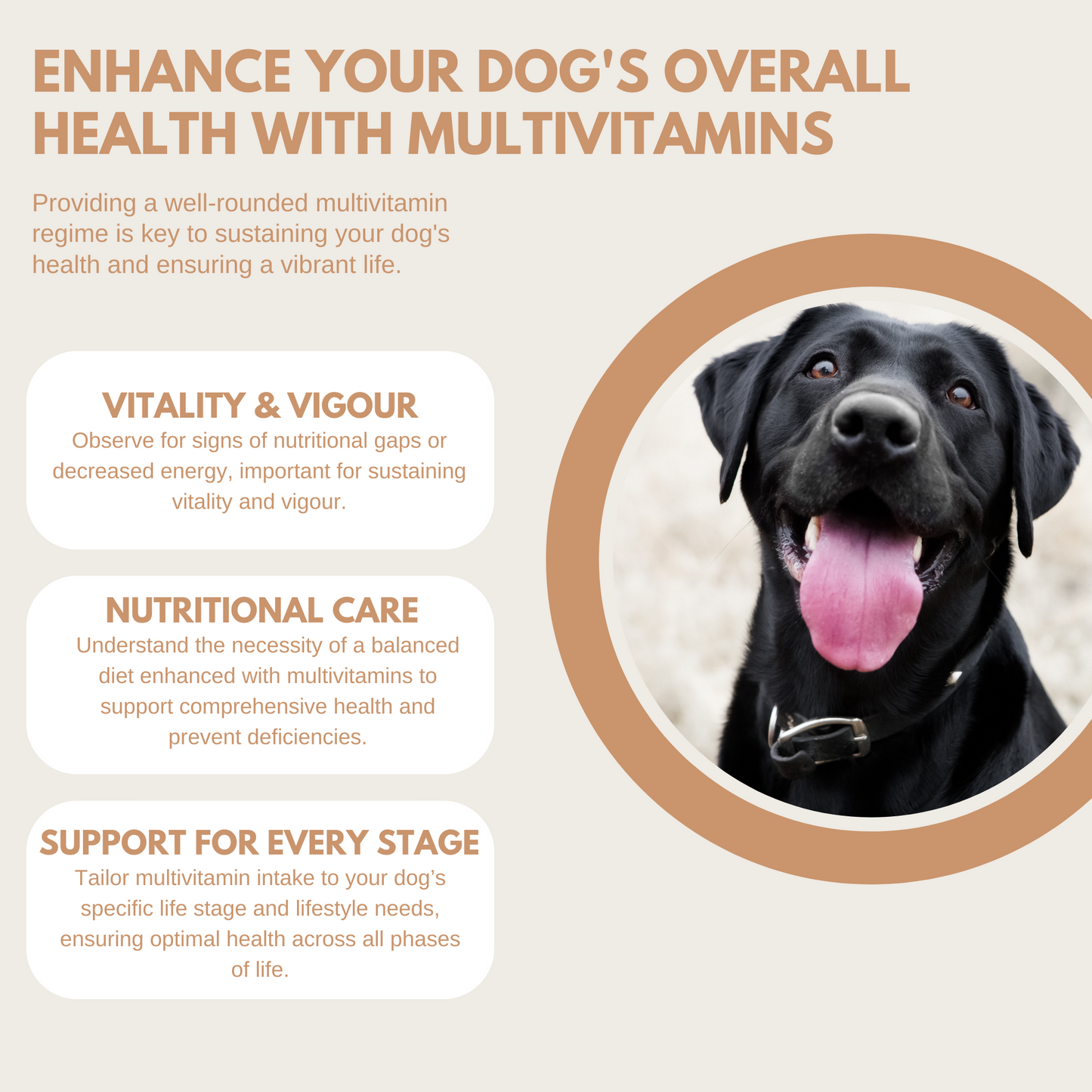 Multivitamin Treats - 95noo5
