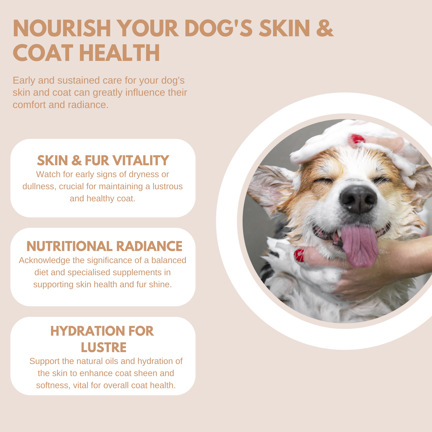 Skin & Coat Treats - 95noo5