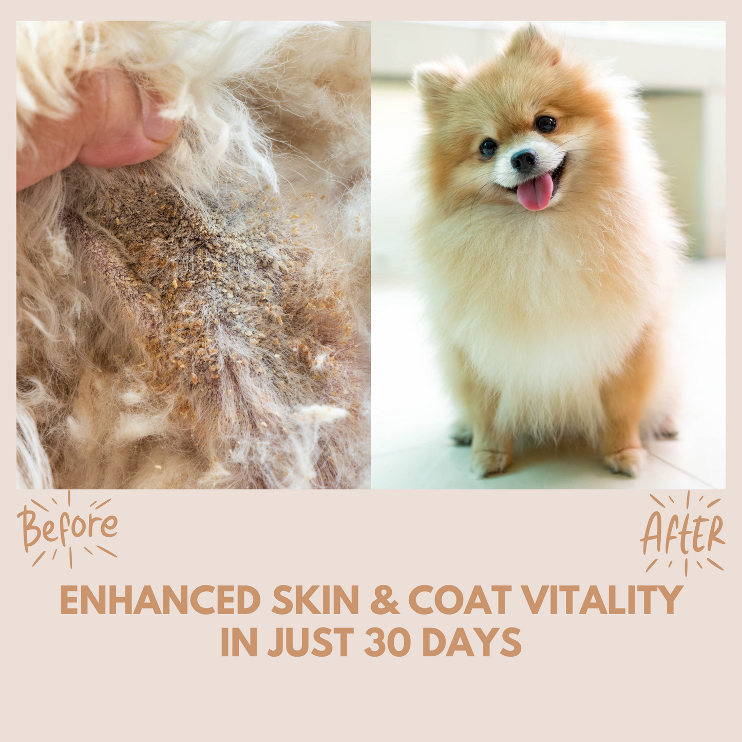 Skin & Coat Treats - 95noo5