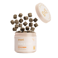 Skin & Coat Treats - 95noo5