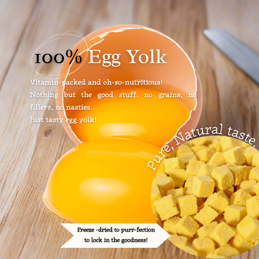 "Yolky Bites" 100% Freeze-Dried Egg Yolk- 40g Pouch - 95noo5