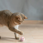 Automatic Moving Bouncing Rolling Ball Smart Cat Toy Ball Self-Moving Kitten Toy For Indoor Cat Kitten - 95noo5
