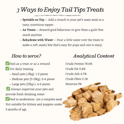 "Salmon Swoon" 100% Freeze-Dried Salmon- 40g Pouch - 95noo5
