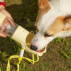 2 In 1 Portable Dog Water Bottle For Small Big Dogs Cat Outdoor Leak-proof Puppy Drinking Bowl With Food Container Pets Feeder Pet Products - 95noo5