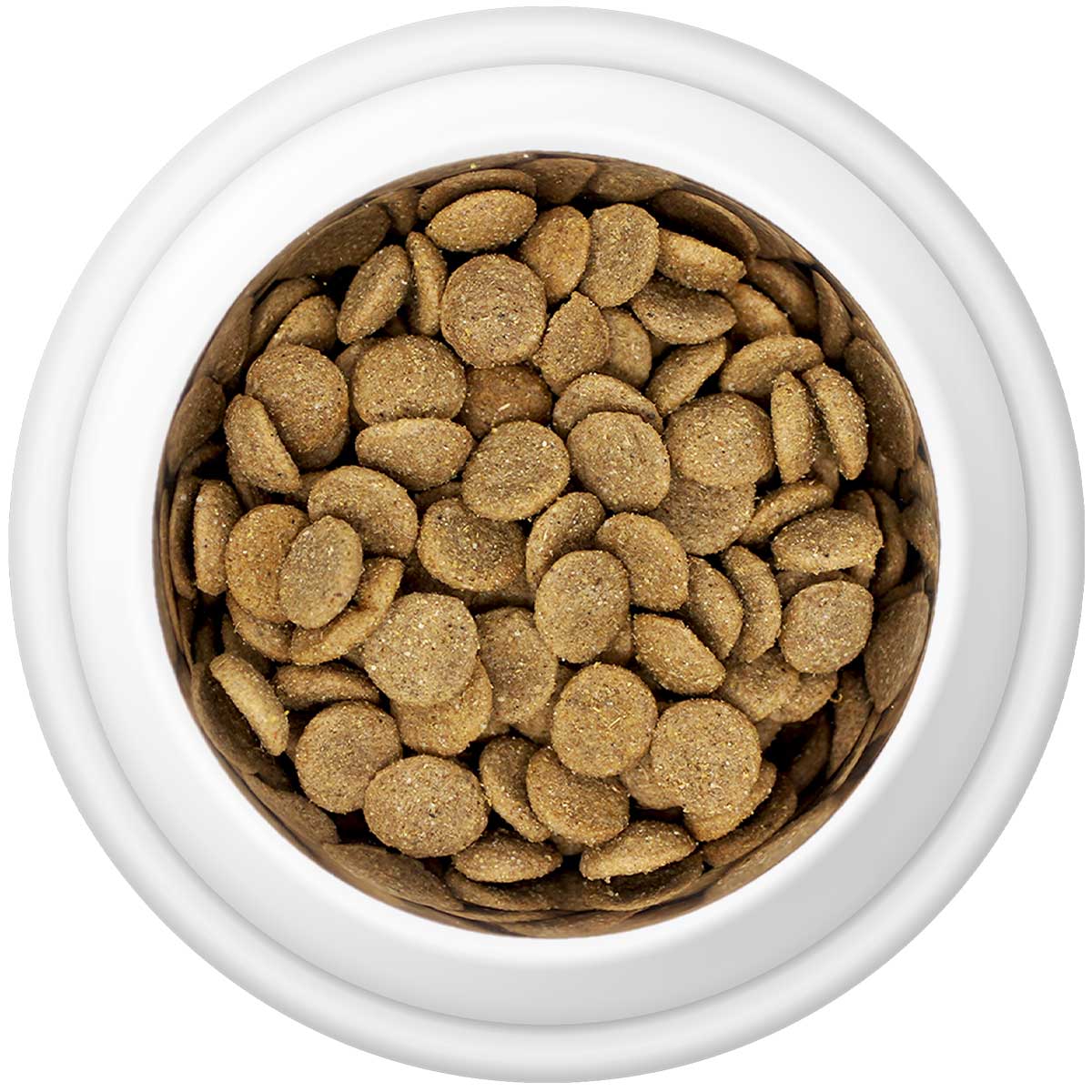 Premium Chicken & Rice Adult Dry Dog Food - 95noo5
