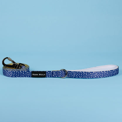 The Minnie Lead - 95noo5