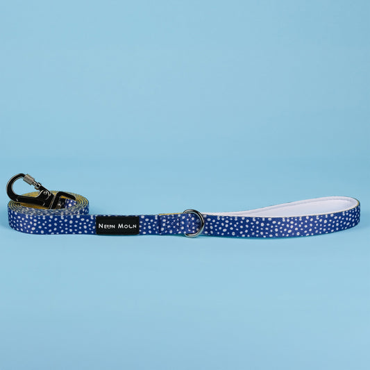 The Minnie Lead - 95noo5