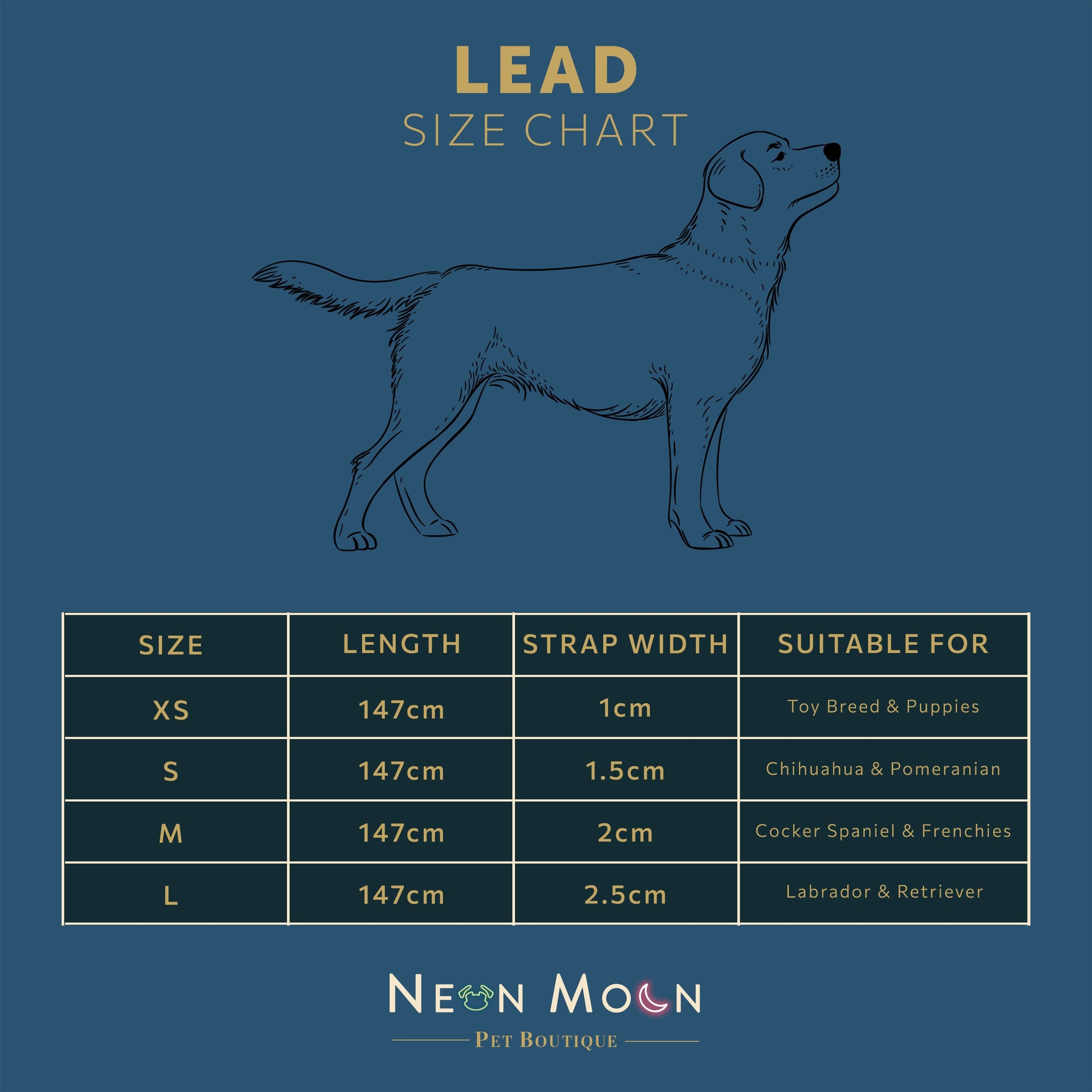 The Luna Lead - 95noo5