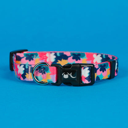 The Luna Dog Collar - 95noo5