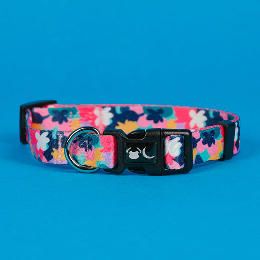 The Luna Dog Collar - 95noo5