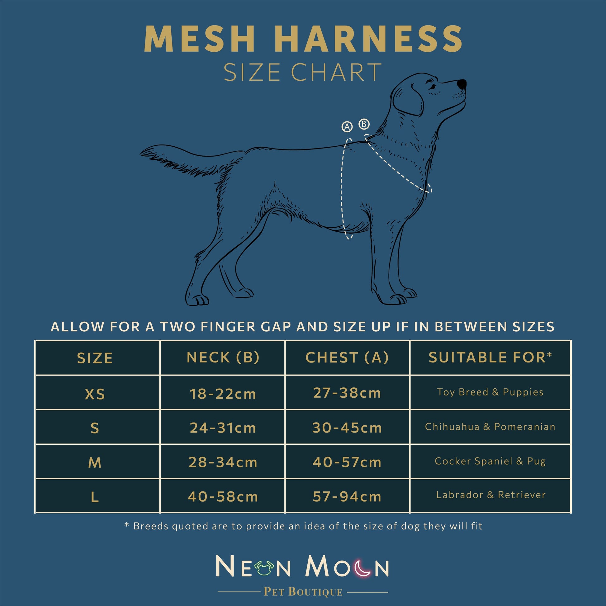 The Luna Mesh Harness - 95noo5