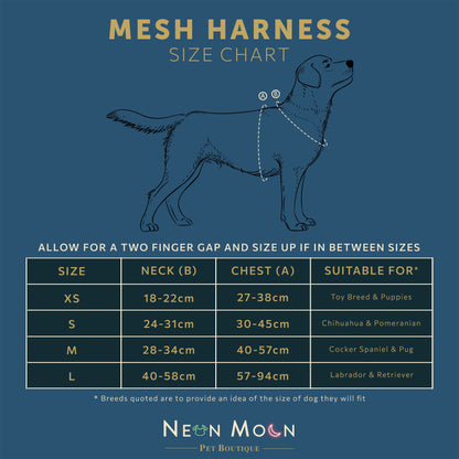 The Luna Mesh Harness - 95noo5