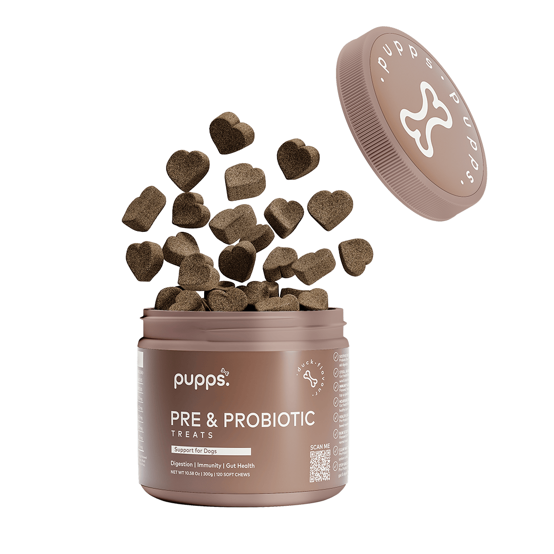 Pre & Probiotic Treats - 95noo5