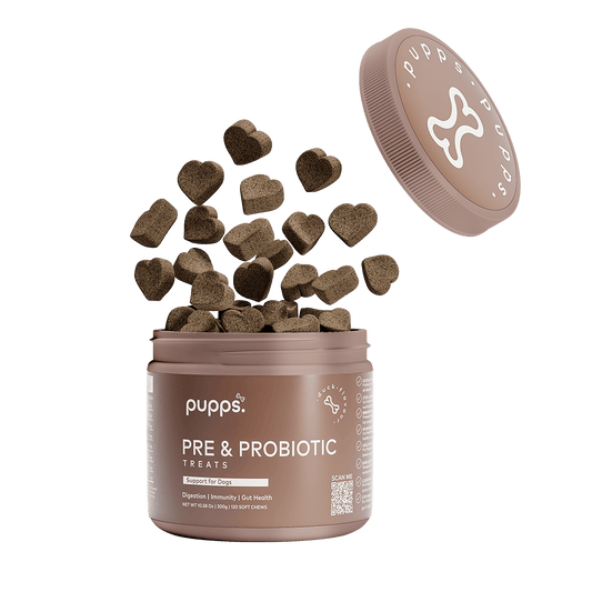 Pre & Probiotic Treats - 95noo5