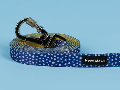 The Minnie Lead - 95noo5