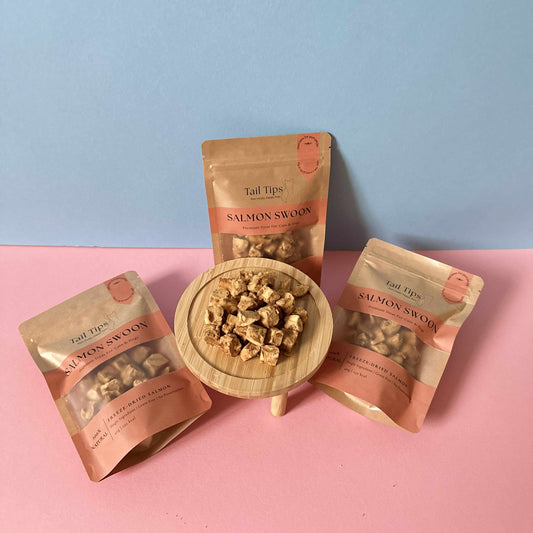 "Salmon Swoon" 100% Freeze-Dried Salmon- 40g Pouch - 95noo5