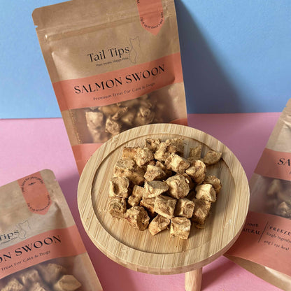 "Salmon Swoon" 100% Freeze-Dried Salmon- 40g Pouch - 95noo5