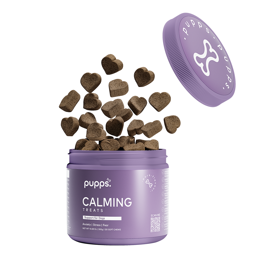Calming Treats - 95noo5