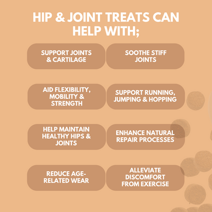 Hip & Joint Treats - 95noo5