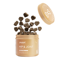 Hip & Joint Treats - 95noo5